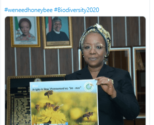 Promote Pollinators member South Korea organises online campaign on World Bee Day