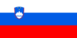 Slovenian flag