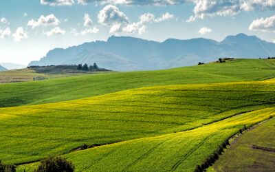 Scientists plead for increase of native habitats in working landscapes