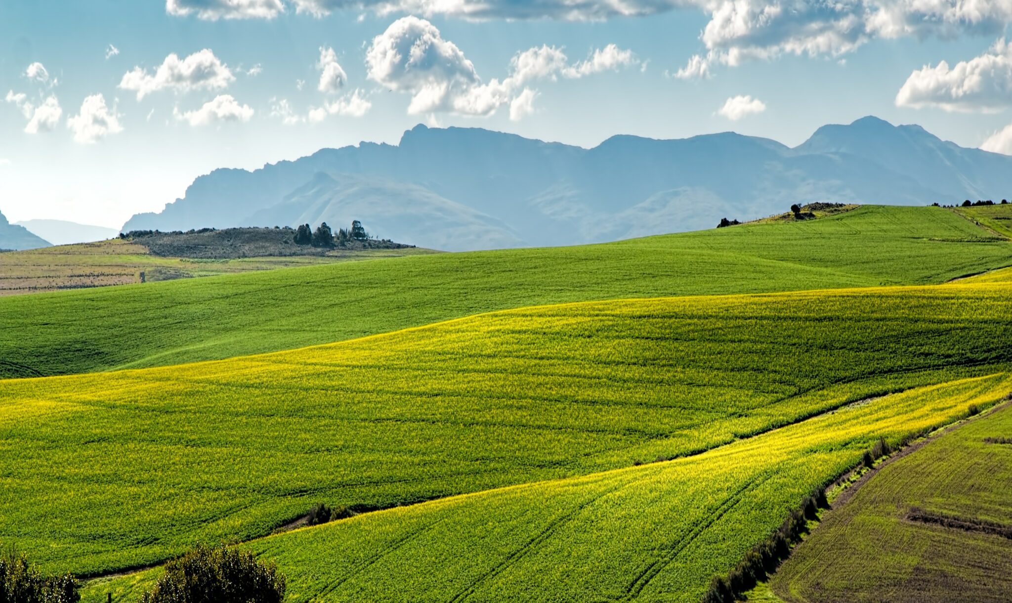 farmland