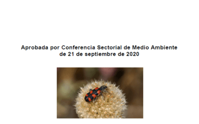 Spain Adopts National Strategy for Conservation of Pollinators