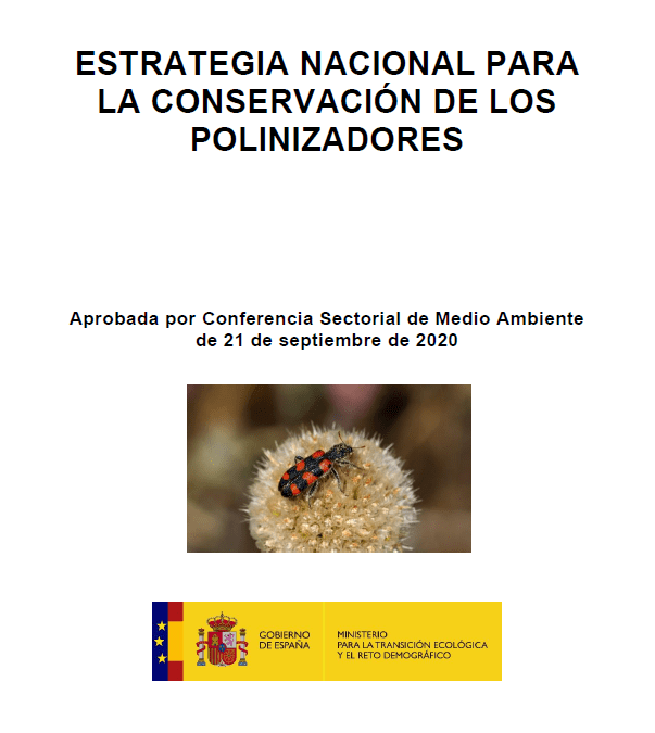 Spain Adopts National Strategy for Conservation of Pollinators