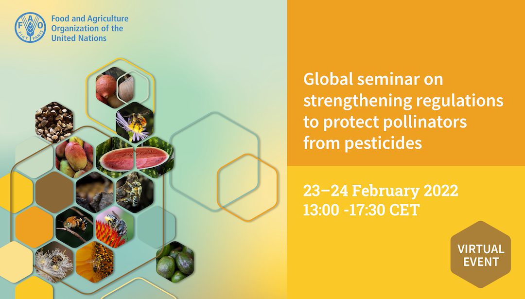 Register for the FAO Pollinator seminar