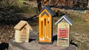 Insect hotels and bee towers at the Duna-Ipoly National Park