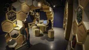 The permanent exhibition at Kis-Balaton Visitor Centre of the Balaton-felvidéki National Park has an interactive part on pollination