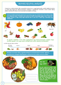 Workbook for kids on pollinators