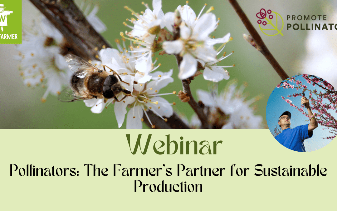 Join the webinar ‘Pollinators: The Farmer’s Partner for Sustainable Production’