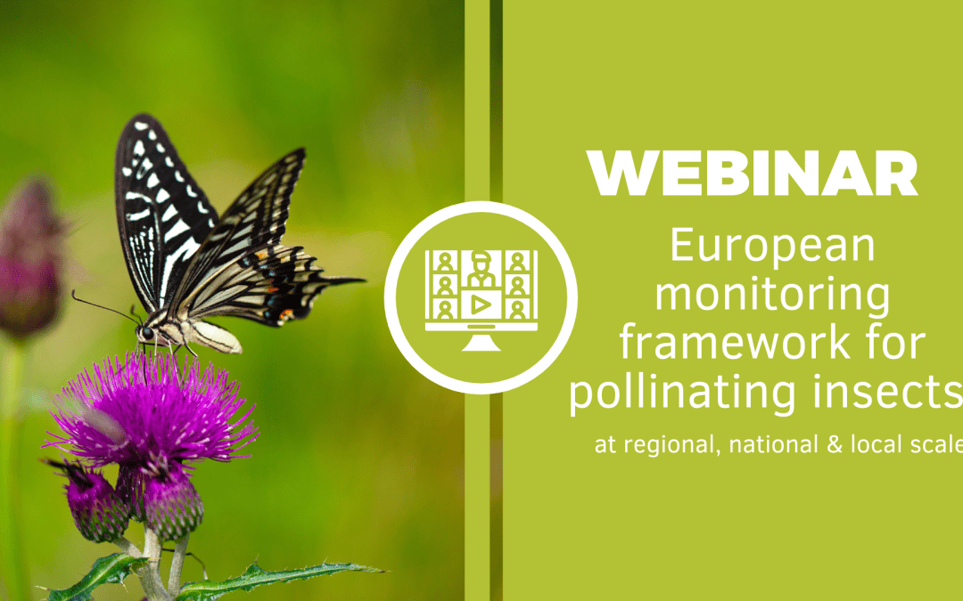 Join the webinar ‘European monitoring framework for pollinating insects’