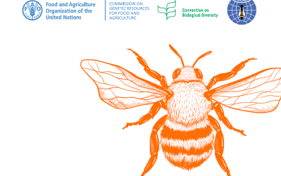 Side event SBSTTA-26 ‘Pollinators and biodiversity: Towards a Global Pollinator Platform’