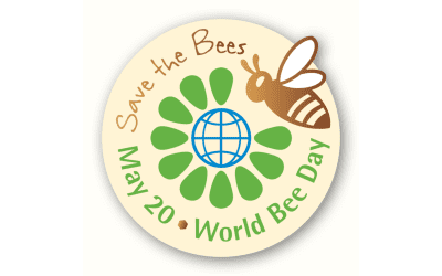 Recap World Bee Day 2024